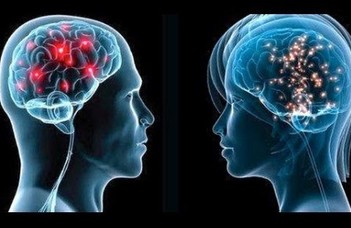 Miért gyakoribb az Alzheimer-kór a nőknél?