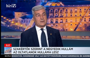 Magyarországon nagy az oltási fegyelem a gyermekkori védőoltások tekintetében