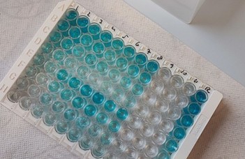 Új eszközök az immunológiai kutatásokhoz