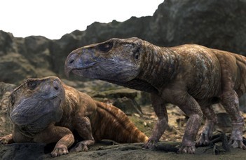 Európában is éltek galléros dinoszauruszok