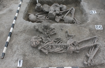 Health in prehistoric Europe