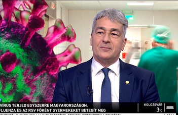 Több vírus terjed egyszerre Magyarországon