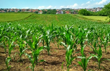 K&H a fenntartható agráriumért ösztöndíjpályázat 2024