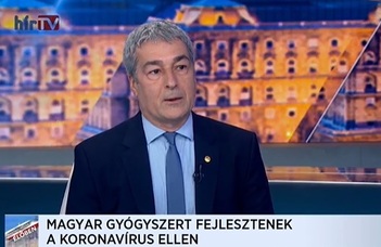 Nemes verseny zajlik