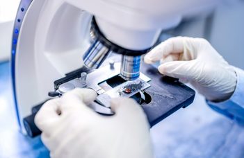 Mikrobiológus képzés indul az ELTE TTK-n