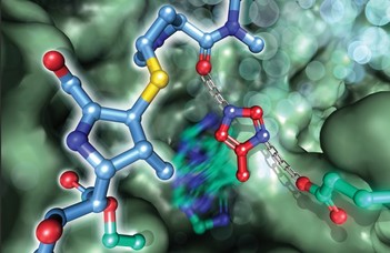 The frozen secret of proteins