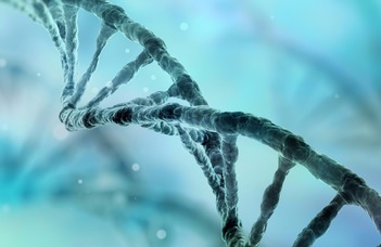 Biomolekulák és szerkezeti biológia