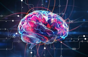 Bizonyítékot találtunk arra, mi befolyásolja az intelligenciát