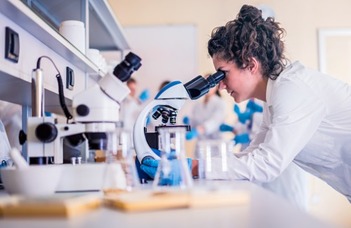 Innovatív doktori kutatási témákat várnak