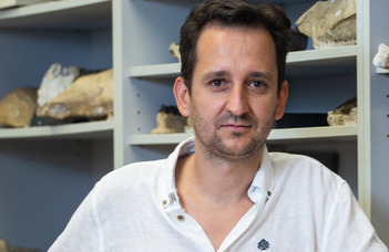 Rengeteg dinoszaurusz rejtőzhet a Bakonyban